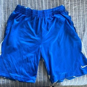 Selling a pair of Nike shorts. The color is Blue/Gray and the size being Large